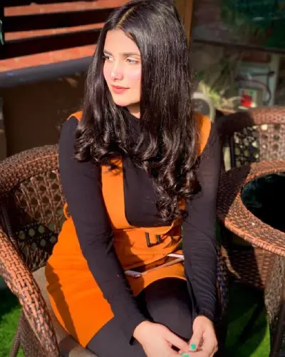 Celebrity Escorts
